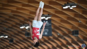 aere trampoline cup tra tum dmt ph by tomasi simone ferraro   fgi 